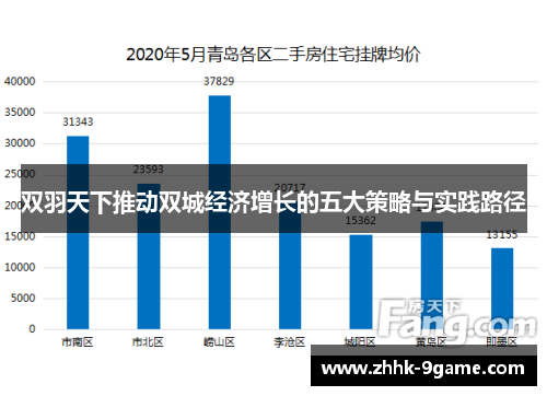 双羽天下推动双城经济增长的五大策略与实践路径