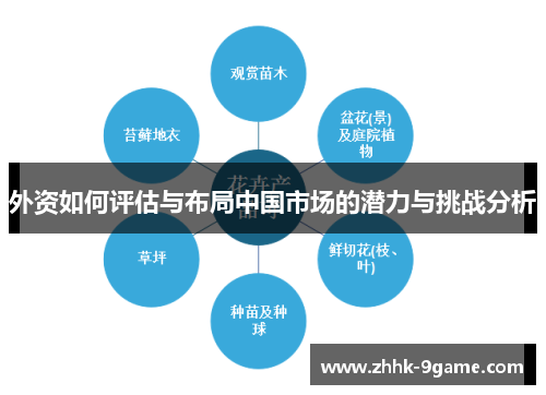 外资如何评估与布局中国市场的潜力与挑战分析