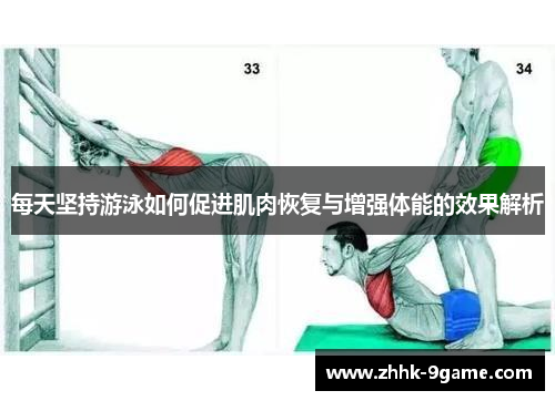 每天坚持游泳如何促进肌肉恢复与增强体能的效果解析
