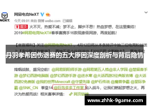 丹羽孝希因伤退赛的五大原因深度剖析与背后隐情