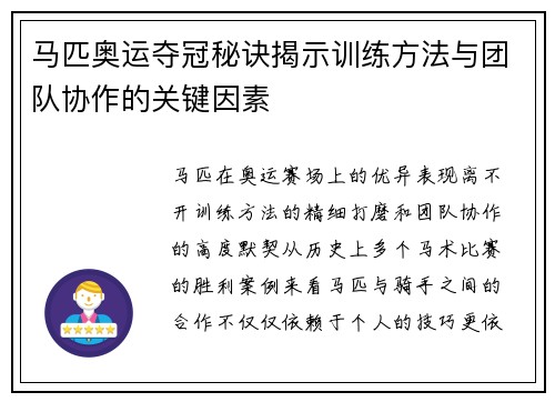 马匹奥运夺冠秘诀揭示训练方法与团队协作的关键因素